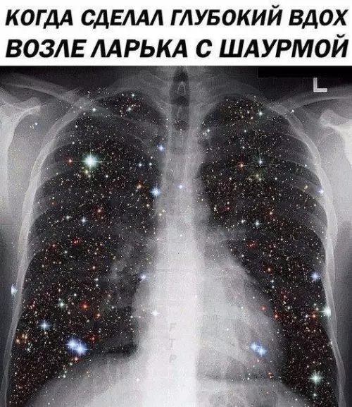 Смешная картинка №176072 Шаурма