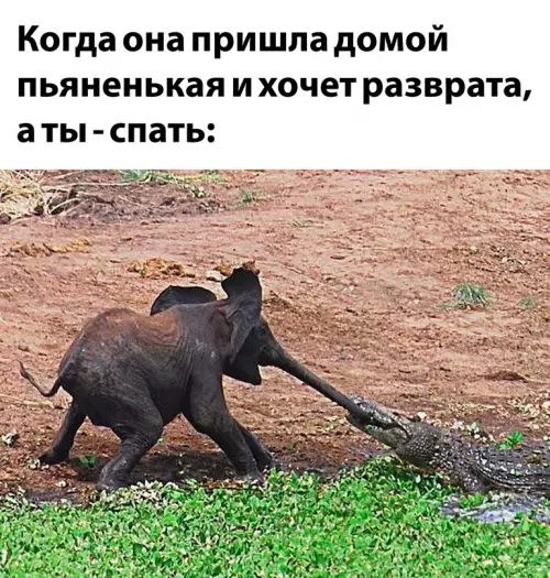 Смешная картинка №669260