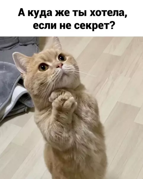 продолжение Смешная картинка №624694 Понимаем