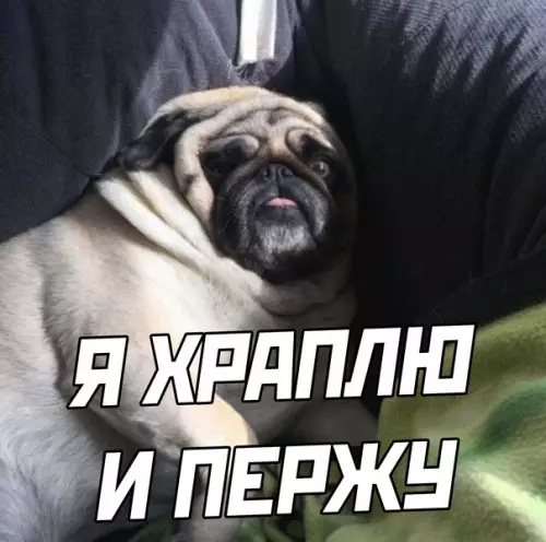 продолжение Смешная картинка №583266