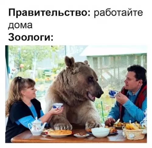 Смешная картинка №480476