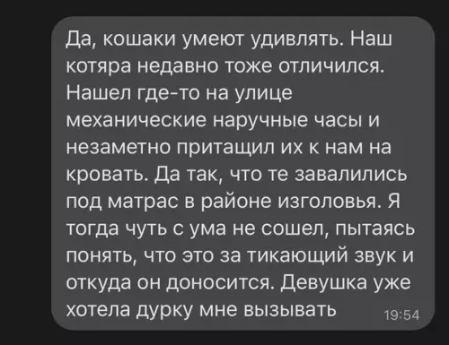 Смешная картинка №621317