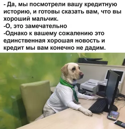 Смешная картинка №496874 Собака-кредит невыдавака