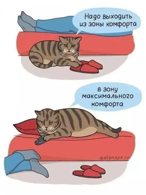 Смешная картинка №738204
