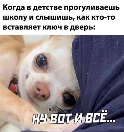 Смешная картинка №539719
