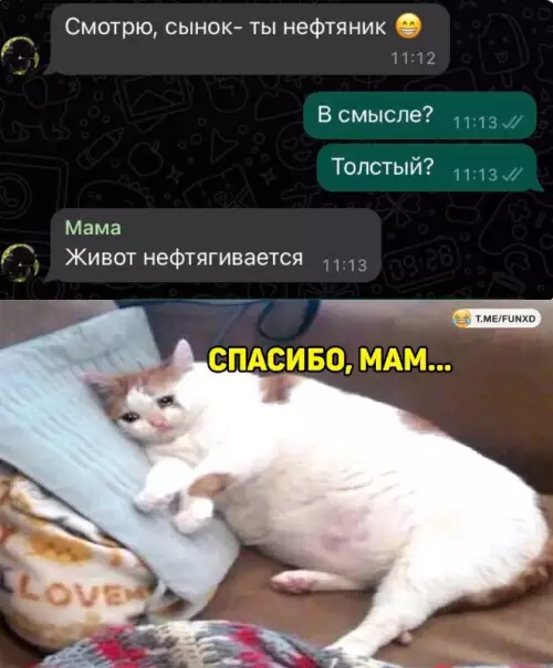 Смешная картинка №692151
