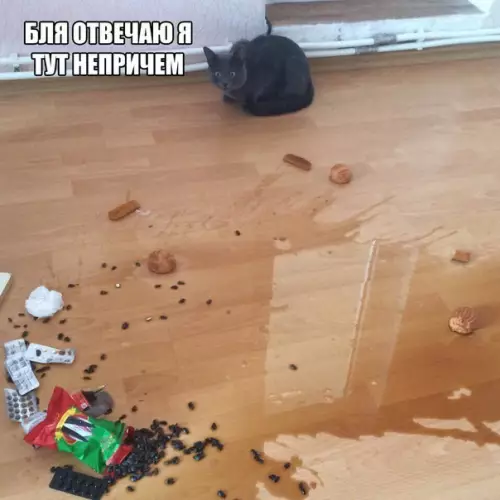 Смешная картинка №275873