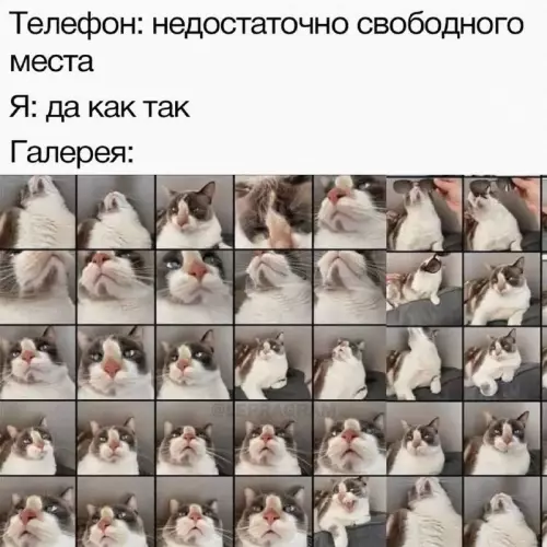 Смешная картинка №724926