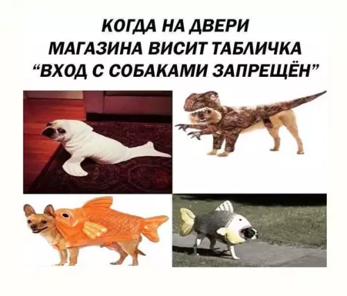 Смешная картинка №253887