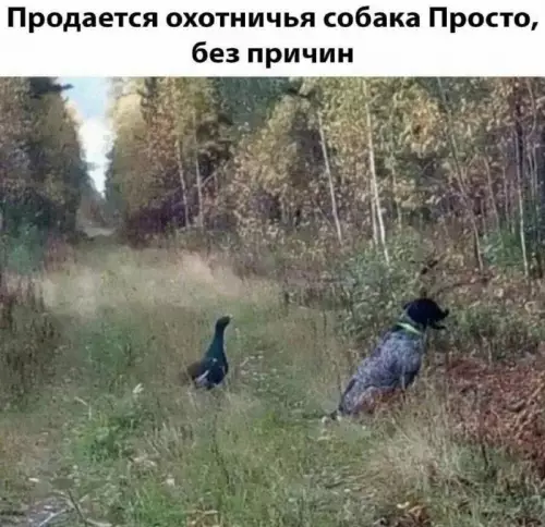 Смешная картинка №760834