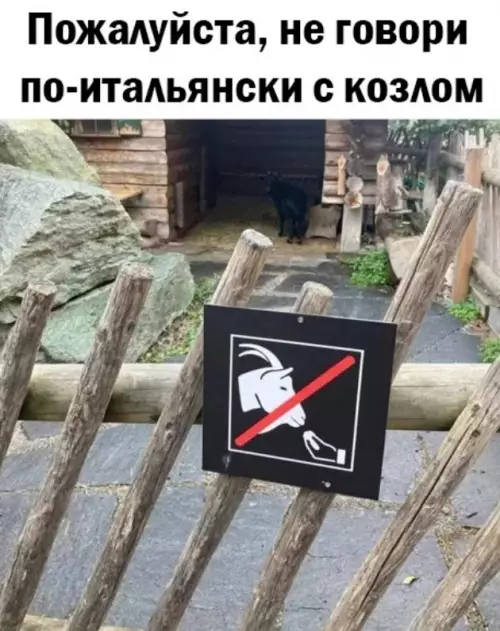 Смешная картинка №668540