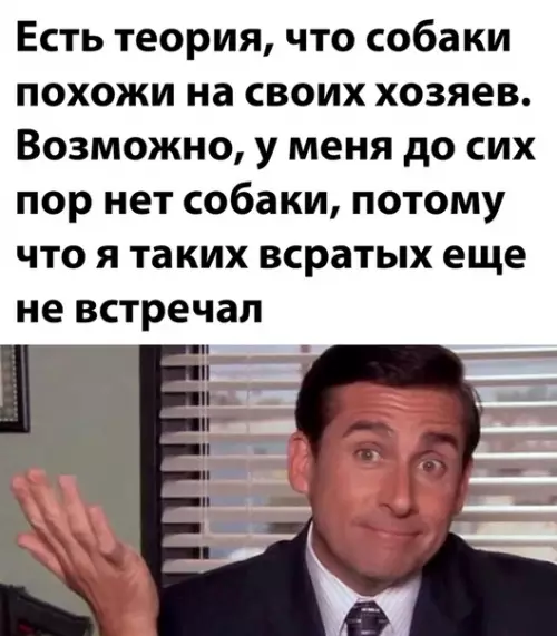 Смешная картинка №530483