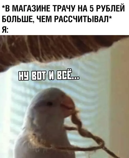 Смешная картинка №357517 Коротко о моём финансовом положении