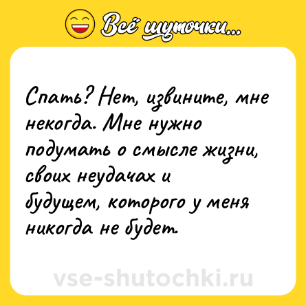 Шутка: Спать? Нет, извините, мне некогда. Мне нужно подумать о смысле жизни, своих неудачах и будущем, которого у меня никогда не будет.