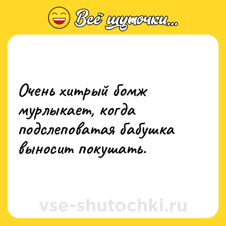 Шутка: Очень хитрый бомж мурлыкает, когда подслеповатая бабушка выносит покушать.