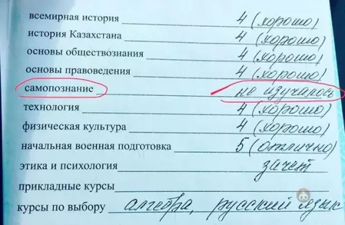 Смешная картинка №548802 "Кто я?" вот в чем вопрос ?