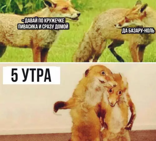 Смешная картинка №293316