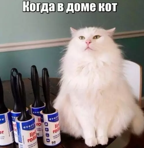 Смешная картинка №175469