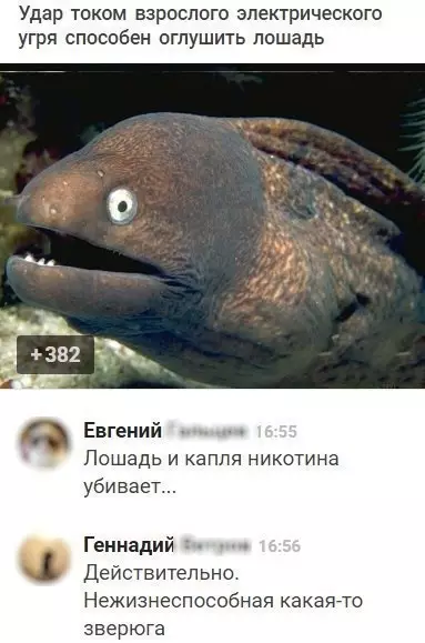 Смешная картинка №270710