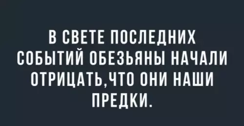 Обезьяны отрицают родство с людьми