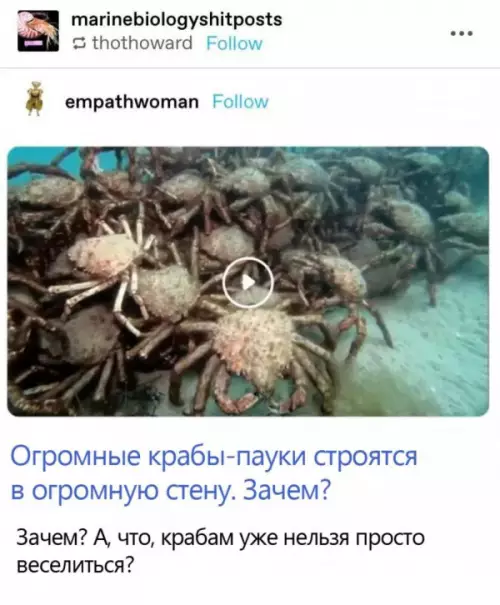 Смешная картинка №653655