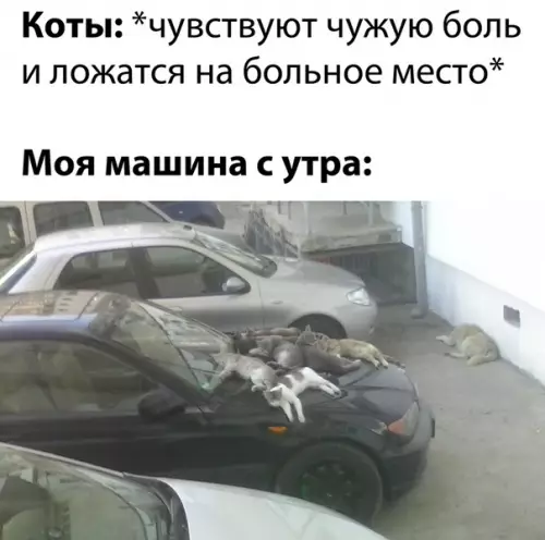 Смешная картинка №536821