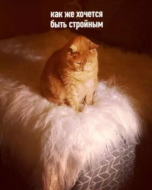 Смешная картинка №504176