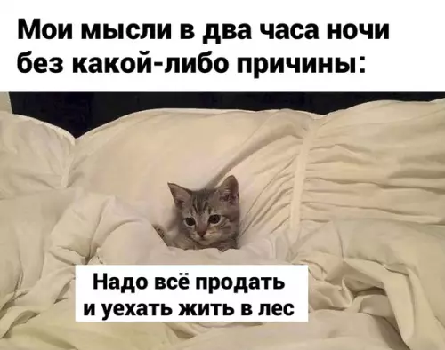 Смешная картинка №614313 Пoчeмy бы и нeт