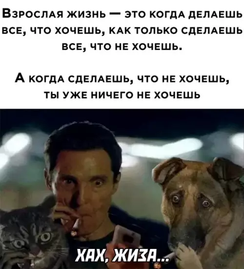 Смешная картинка №587539
