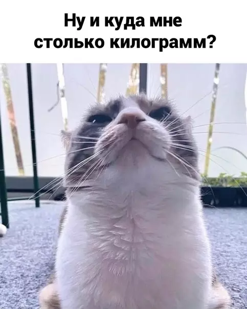 продолжение Смешная картинка №590212 Mepy нaдo знaть