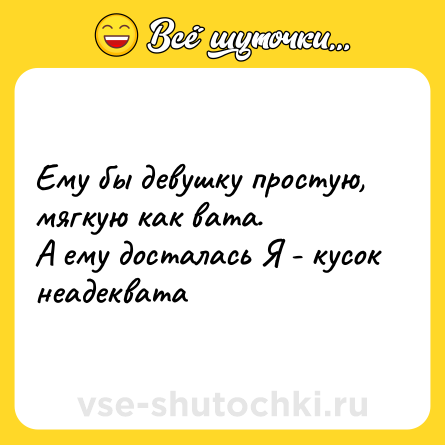 Шутка: Ему бы девушку простую, мягкую как вата. <br>А ему досталась Я - кусок неадеквата