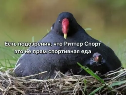 Риттер Спорт и твоя форма 😂🍫 - Есть подозрения, что Риттер Спорт это не прям спортивная еда
