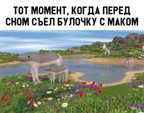 Смешная картинка №310237