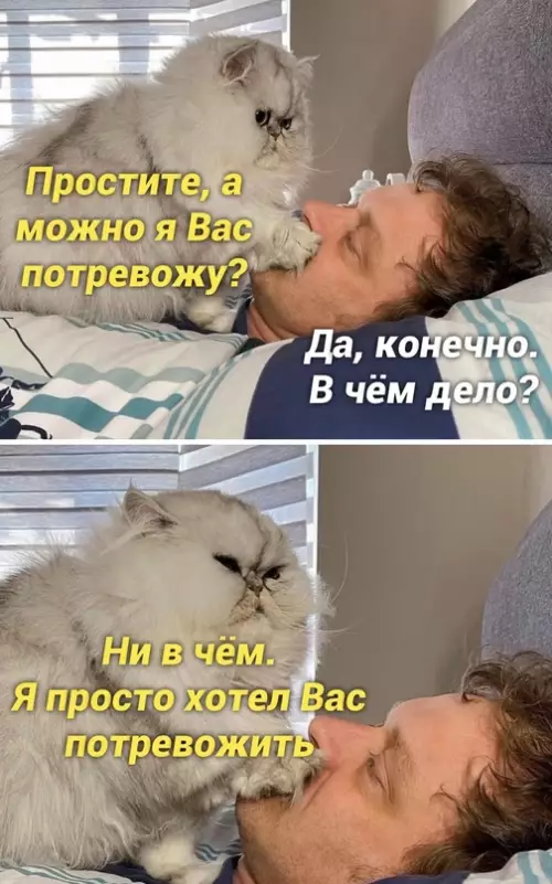 Смешная картинка №660684 :3