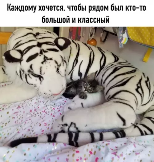 Смешная картинка №523967