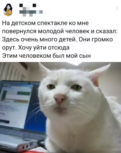 Смешная картинка №790226 0% осуждения, 100% понимания