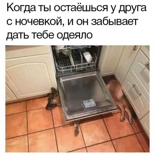 Смешная картинка №684694