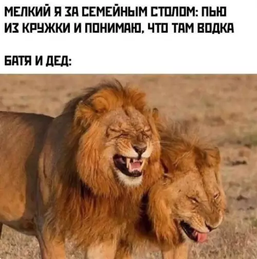 Смешная картинка №770412