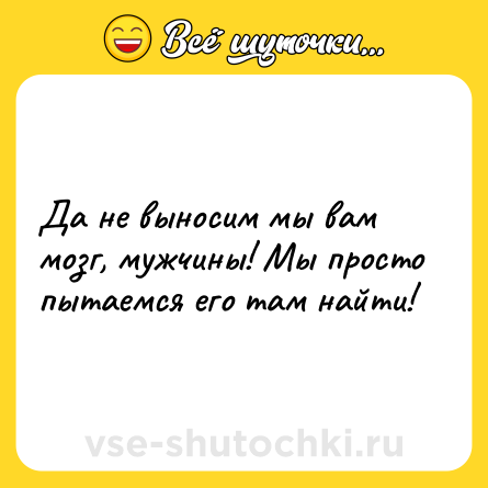 Шутка: Да не выносим мы вам мозг, мужчины! Мы просто пытаемся его там найти!