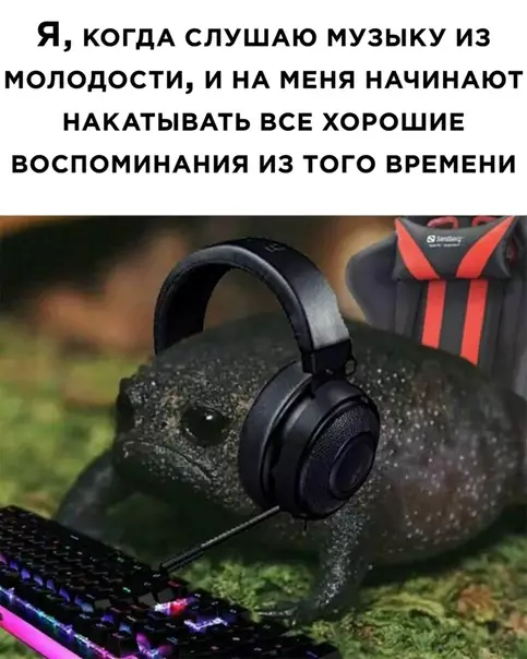 Смешная картинка №532796