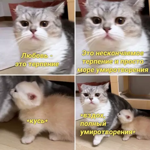 Смешная картинка №658195