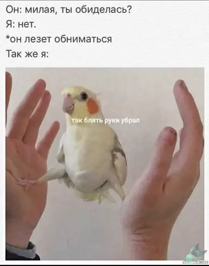 Смешная картинка №390297