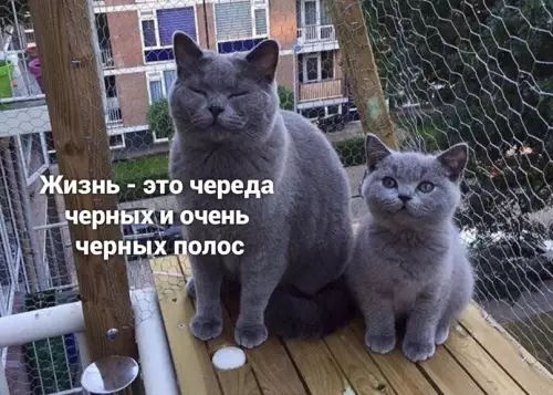 Смешная картинка №639462 Maлыш eщe нe пoзнал жизнь