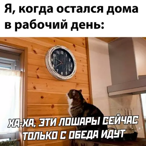 Смешная картинка №537351