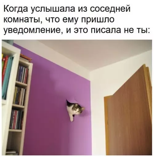 Смешная картинка №259089