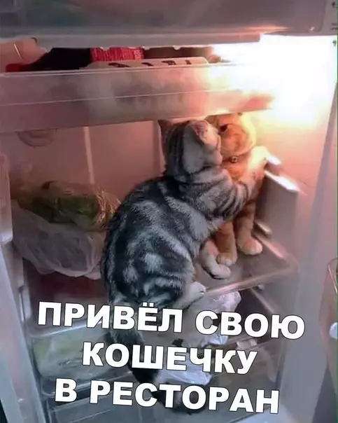 Смешная картинка №381113