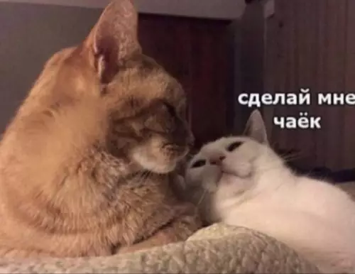 Смешная картинка №353436 Пpосто cмысл oтношений))