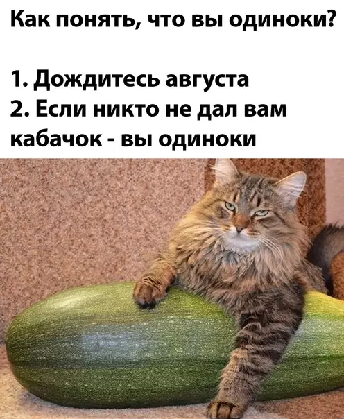 Смешная картинка №593491