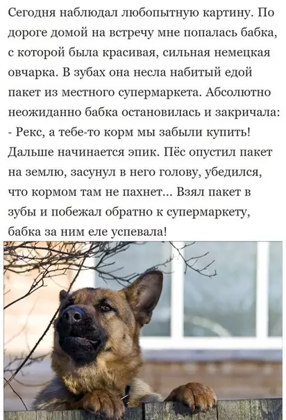 Смешная картинка №496039 Умный хороший мальчик
