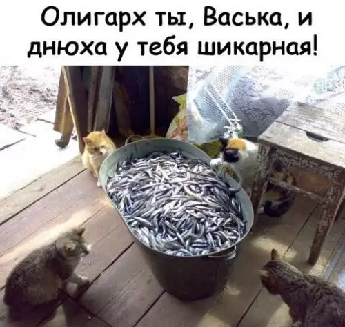 Смешная картинка №387367